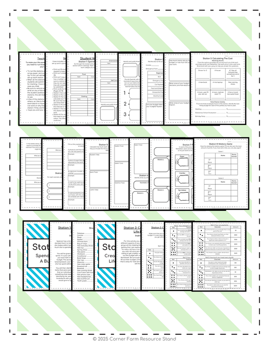 Financial Literacy Stations Gr. 5/6 (Budgeting, Taxes, Financial Decisions)